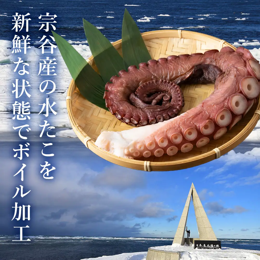 宗谷産　刺身用　煮たこ足約1.3kg(足2～4本)【配送不可地域：離島・沖縄県】