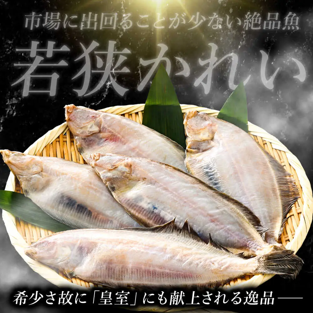 国産 若狭かれいの一夜干し 600g ヤナギムシカレイ [D-007006] [BFAE023] 【配送不可地域：北海道・沖縄・離島】 