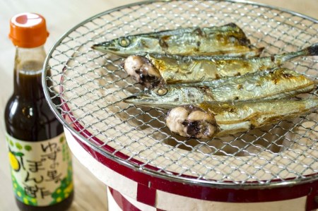 古座川町ゆずポン酢 & 北山村じゃばらぽん酢 の2種セット【njb362】