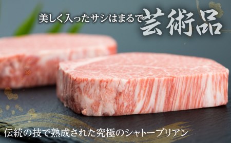飛騨牛 シャトーブリアンステーキ 最高ランク5等級 2回お届け 飛騨市推奨特産品 古里精肉店謹製[AW505]