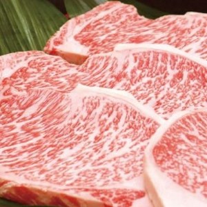 【3回定期便】牛肉 京丹波姫牛 グルメ三昧 計2kg 牛肉