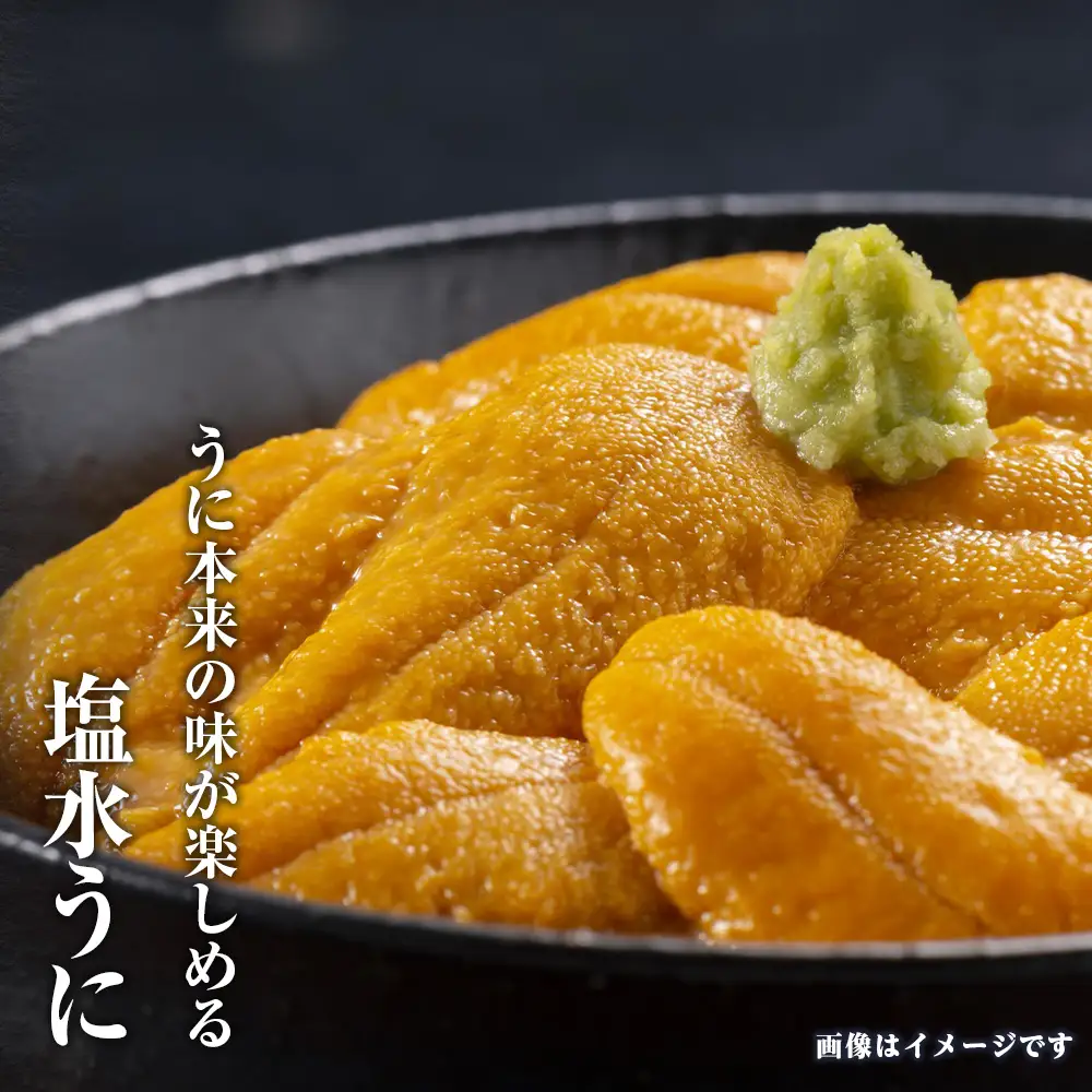2026年 発送予約 ウニ本来の味が楽しめる【白老産】塩水ムラサキウニ 100g×3パック BT009