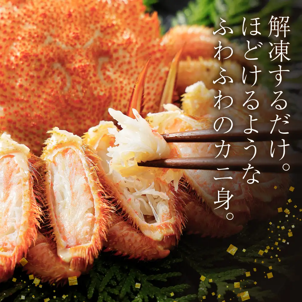 【大サイズ】北海道産 冷凍ボイル毛ガニ (600g-660g前後) 2尾 AS172