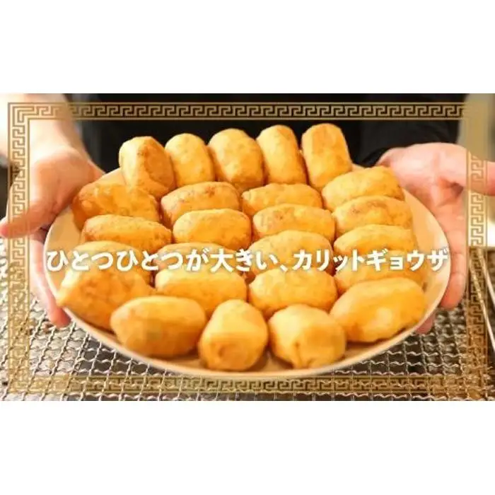 カリットギョウザ 焼き餃子 冷凍48個　ジューシー 大きい 餃子 冷凍焼餃子 焼餃子