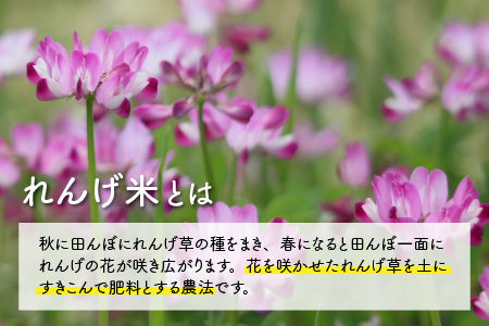令和7年産 農薬不使用・化学肥料不使用 永平寺町産 れんげ米 10kg（5kg×2袋）[C-002029]