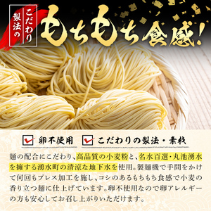 訳あり 中華麺 計2.1kg ラーメン 業務用 【霧島製萌】_y378