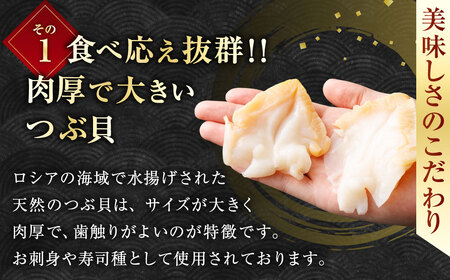 お刺身 つぶ 500g つぶ貝 【7日程度で発送】