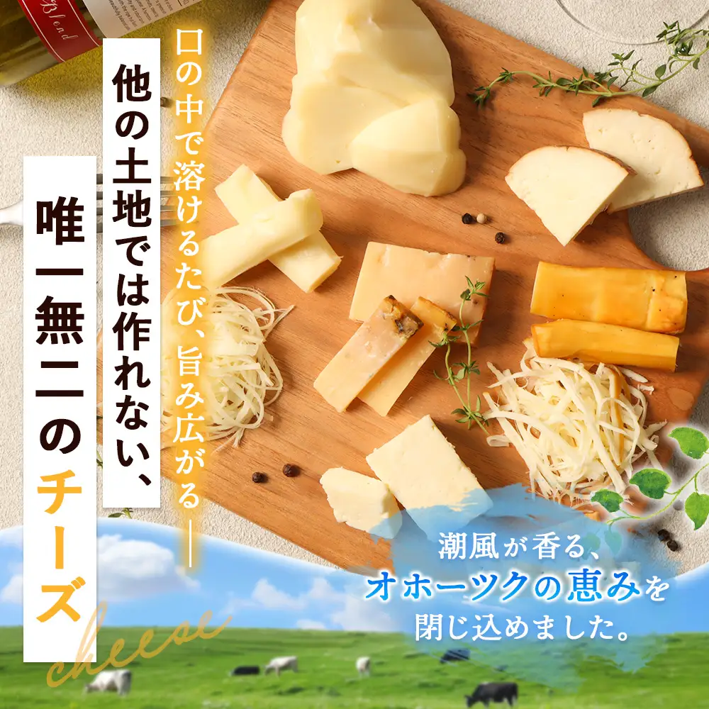 北海道雄武町産　チーズセット(スモークストリング70g　ミルクストリング70g×2　モッツァレラ90g　ハードグラス25g　イルフューム25g　モルディ25g)【0910101】