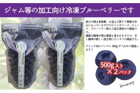 冷凍ブルーベリー 1㎏ 訳あり･ジャム用 | フルーツ 果物 ベリー