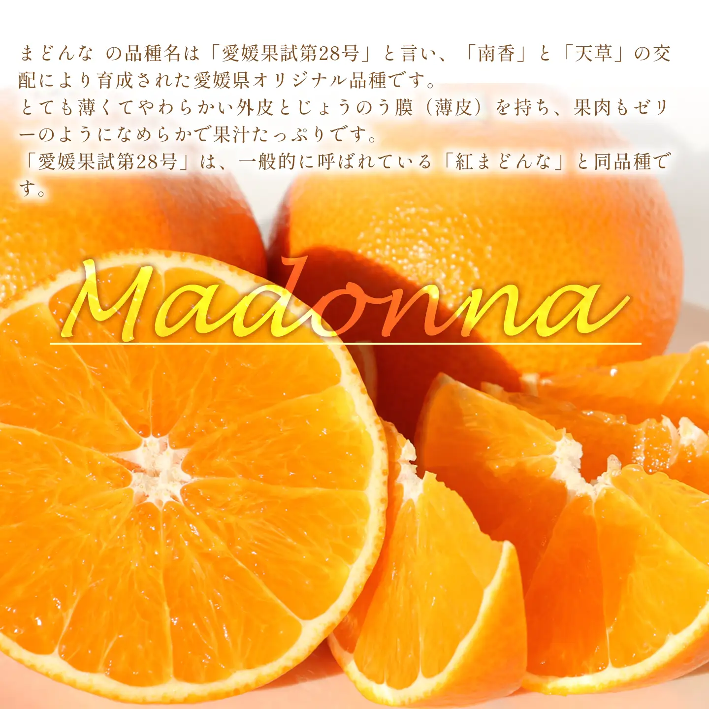 まどんな 約3㎏【秀品･化粧箱（L～4L）8～15個入】｜あいか 紅まどんなと同品種