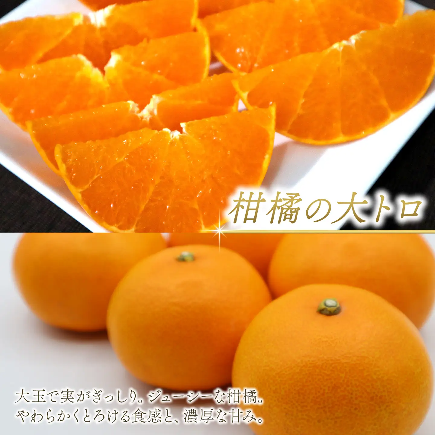 【せとか】【2月下旬から発送】 茨木農園の極上せとか（約1.6kg・5～6個）