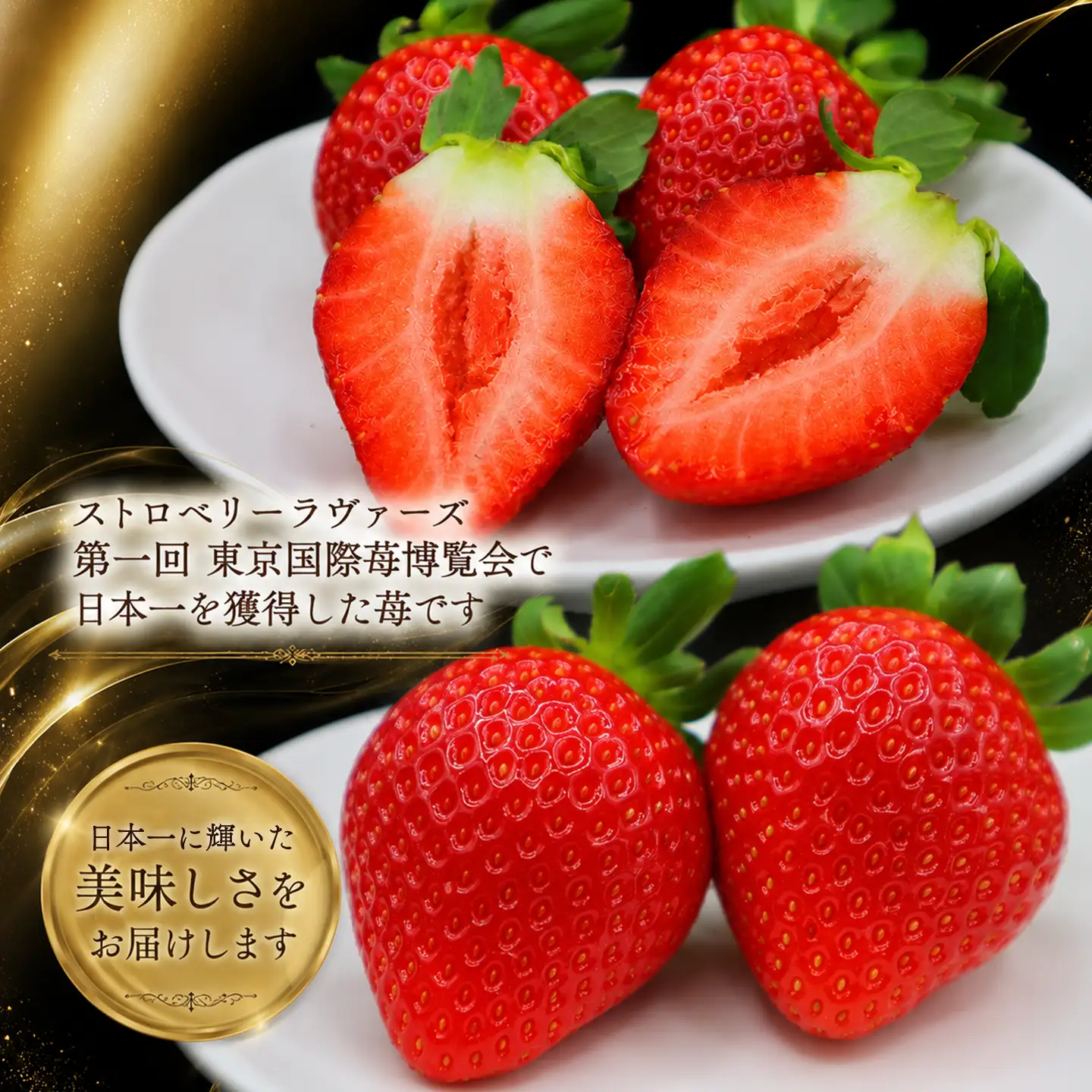 【先行予約】いちご 樹上完熟 レッドパール 約500g 1箱 ｜ イチゴ 