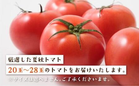 【8月頃～順次お届け】一級品 飛騨 トマト 4kg 箱入り | 大玉トマト 宿儺さま KA008