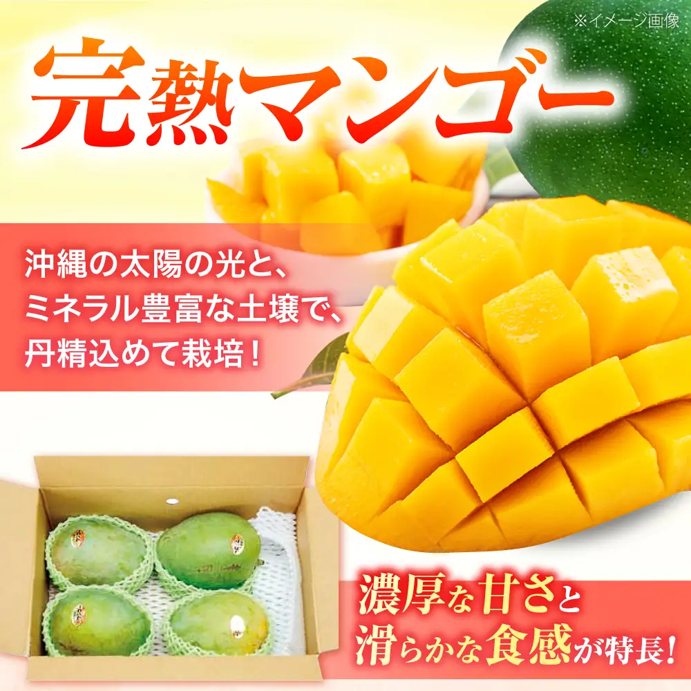 マンゴー 【2027年発送】 贈答用 キーツマンゴー 約2kg (2～5玉 / 化粧箱入り) マンゴー 沖縄 BCAA006