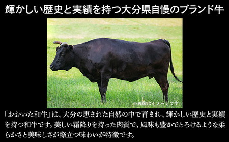 おおいた和牛 すき焼き用スライス600g | お肉 肉 おにく にく 牛 牛肉 和牛 国産牛 すき焼き スライス 大分県産ブランド和牛 すき焼き肉 大分県 中津市