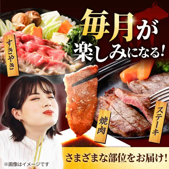 【6回定期便】佐賀牛 贅沢 1頭まるごと定期便/ シルバーコース 牛肉 [IAH089]