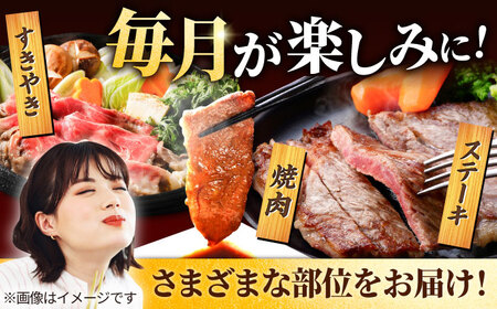 【12回定期便】佐賀牛 贅沢 1頭まるごと定期便 /ゴールドコース 牛肉 [IAH090]