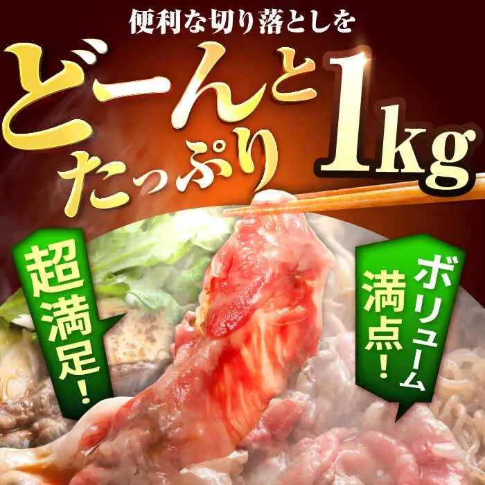 【6回定期便】佐賀牛 至福の切り落とし 1kg（250g×4パック） 佐賀セントラル牧場 [IAH095]
