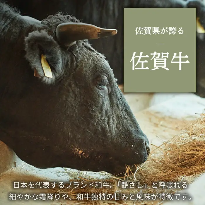 【3回定期便】佐賀牛 すきやき・しゃぶしゃぶ用スライス 500g（ロース・モモ・バラ） / 牛肉スライス [IAH097]