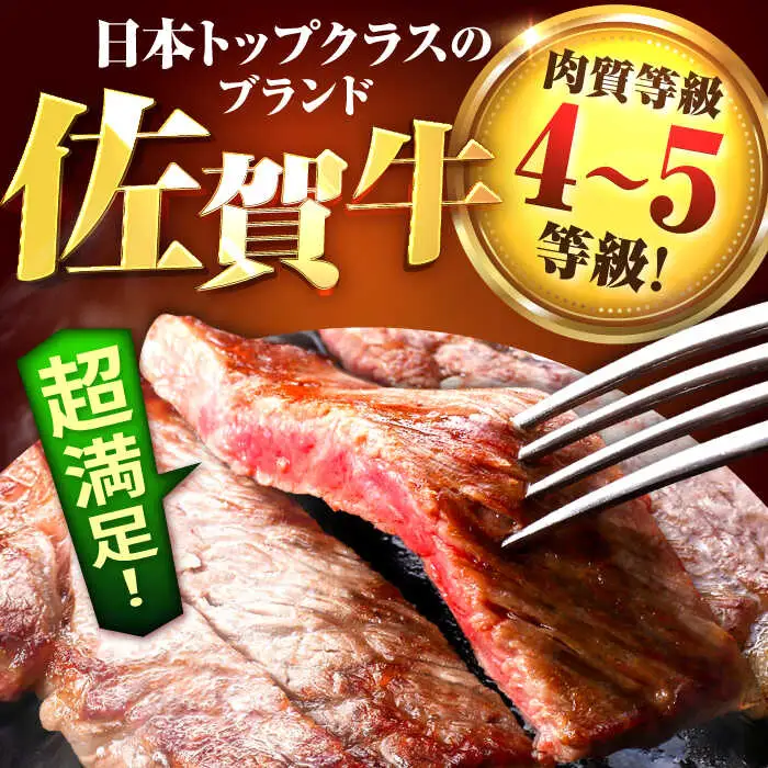 【5回定期便】佐賀牛 サーロインステーキ 400g  / ステーキ  [IAH163]