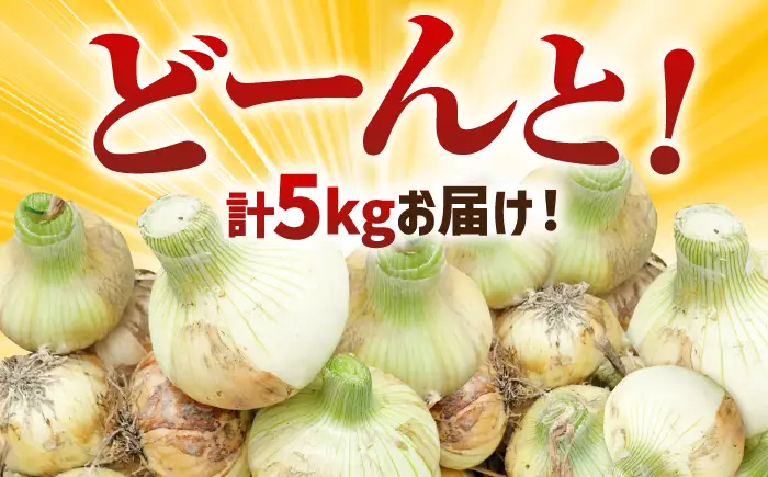 【先行予約 2027年3月～発送】新玉ねぎ 約5kg / 玉ねぎ [IAO009]