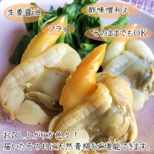 【調理不要!】天然青柳ゆで身セット 150g×5袋 [配送不可地域：離島]