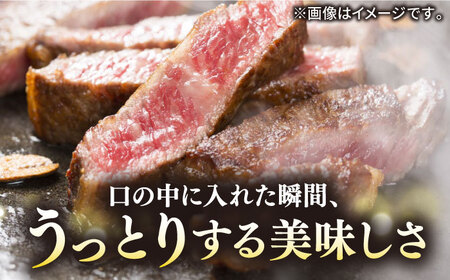 【全3回定期便】極上 壱岐牛 A5ランク Tボーンステーキ 約550~650g（雌）30日間熟成《壱岐市》【KRAZY MEAT】[JER021] 冷凍配送 黒毛和牛 A5ランク ヒレ 赤身 ステーキ サーロイン サーロインステーキ 熟成 熟成肉 牛肉 シャトーブリアン 252000 252000円 九州