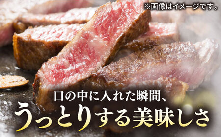 【全12回定期便】極上 壱岐牛 A5ランク Tボーンステーキ 約550~650g（雌）30日間熟成《壱岐市》【KRAZY MEAT】[JER023] 冷凍配送 黒毛和牛 A5ランク ヒレ 赤身 ステーキ サーロイン サーロインステーキ 熟成 熟成肉 牛肉 シャトーブリアン 1008000 1008000円 九州