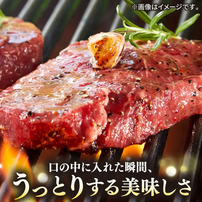 【全12回定期便】極上 壱岐牛 A5ランク ステーキセット（ヒレ200g×2枚・サーロイン350g×2枚）[JER026]