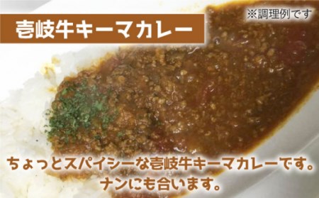 【全3回定期便】壱岐牛煮込みハンバーグキーマカレーセット [JBW020] 108000 108000円