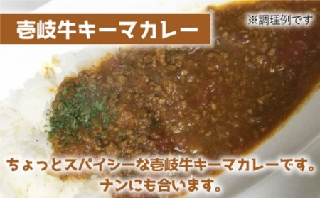 【全6回定期便】壱岐牛キーマカレー [JBW027] 216000 216000円