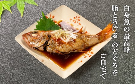 のどぐろ 中サイズ 4尾 冷凍 のどぐろ EY