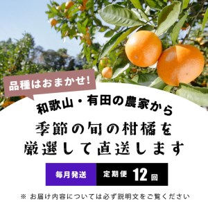 【定期便/毎月配送/全12回】厳選・和歌山の季節の柑橘3kg農家直送フルーツ定期便｜有田 みかん 蜜柑 オレンジ 八朔 せとか ポンカン セミノール ※北海道・沖縄・離島への配送不可
