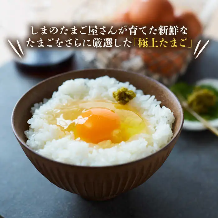 【 卵　定期便6回 】極上恋たまご 卵12個 [JAA005]