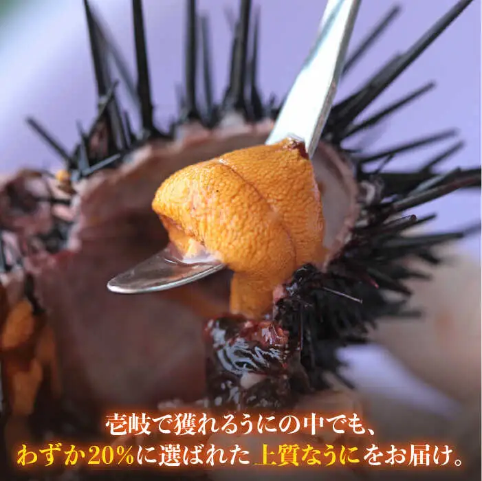 【全6回定期便】【厳選】 うに 60g×1 [JAO037] 生うに