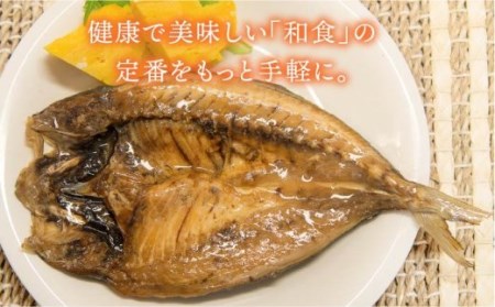 【全12回定期便】E 壱岐産 干物セット 家庭用 [JBD050] 干物 ひもの 定期便 レトルト