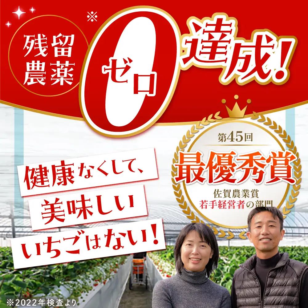 【先行予約】【2?4月発送】いちごさんさがほのか計4パック1kg HAF020 いちご