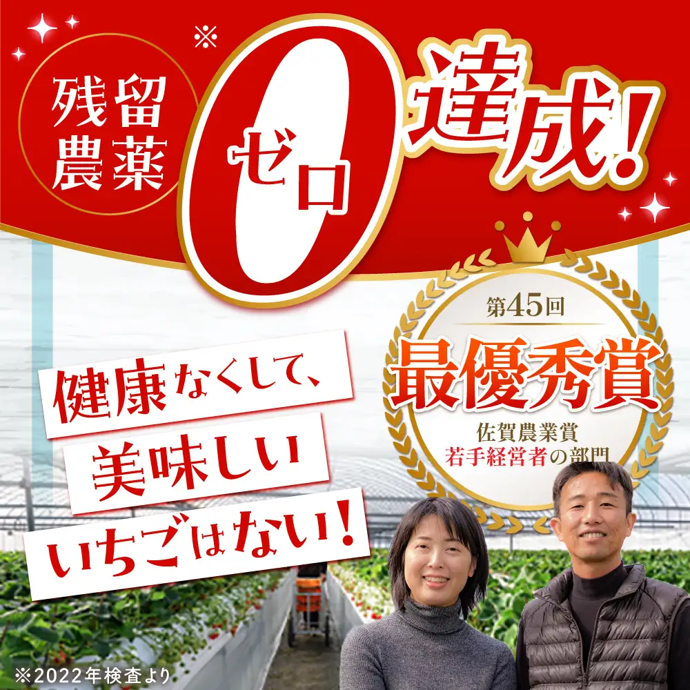 【先行予約】【2?4月発送】さがほのか250g×2 HAF022 いちご 果物 フルーツ いちご