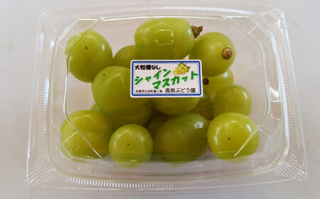 厳選シャインマスカット 粒パック (約250g×6パック） 【1249】