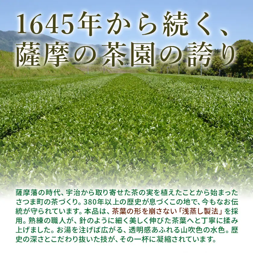 お茶 緑茶 みやかおり 100g×3袋 北さつま農協 《30日以内に出荷予定(土日祝除く)》