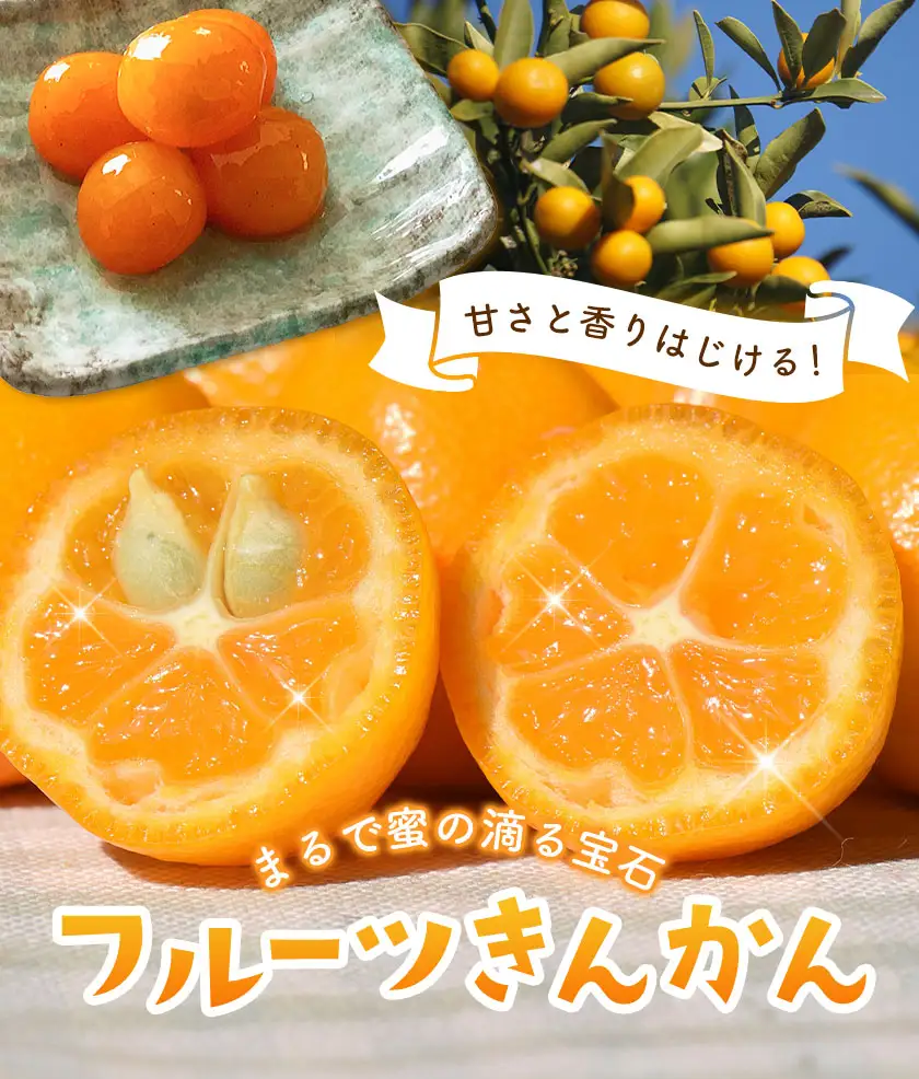 フルーツきんかん 2kg 北さつま農協《1月上旬-2月中旬頃出荷》