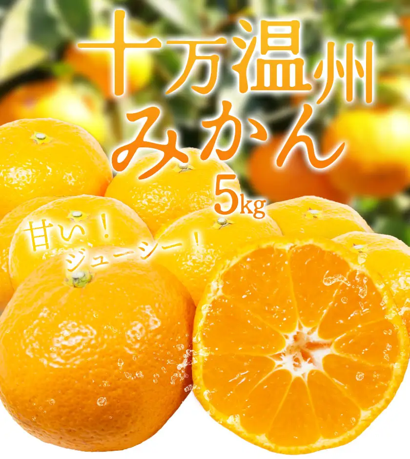 十万温州みかん 5kg 北さつま農協《1月上旬-1月末頃出荷》 