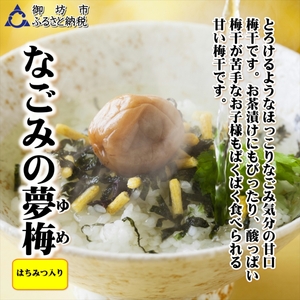 紀州南高梅 なごみの夢梅 1100g 家庭用（B級、C級）【0938-4】