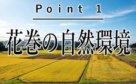 【3ヶ月定期便】  ひとめぼれ  白米  5㎏ 【1224】