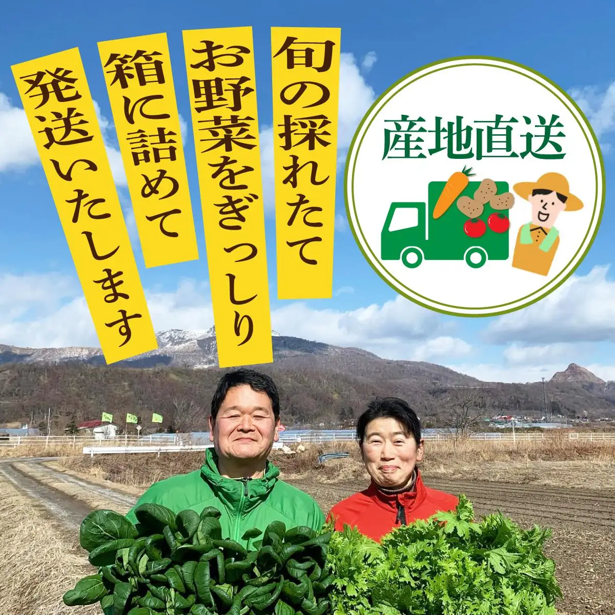 【2026年発送】 先行予約 新鮮採れたて！旬の伊達野菜セット（6～8種）【オンライン決済限定】55250703
