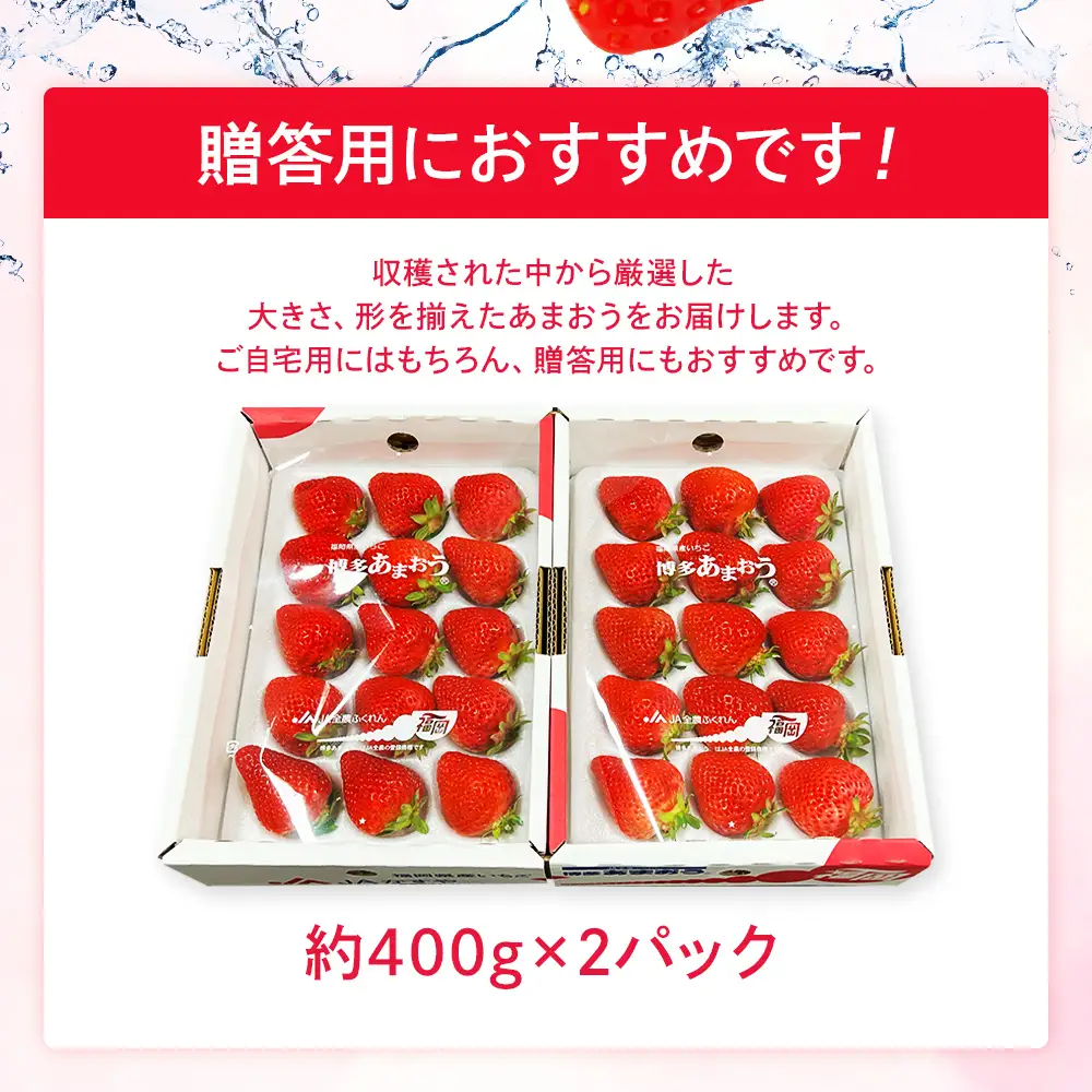 先行予約いちご あまおう 合計約800g 約400g×2パック（１パックあたり、9玉～18玉）【2027年2月～3月順次発送】 いちご