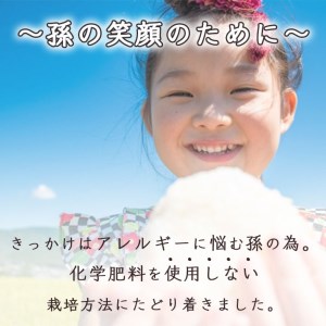 【数量限定】訳あり＜ワイワイ・ファーム＞京都府亀岡産いくひかり 5kg×2袋 計10kg≪京都 丹波 産地 農家 直送 ご飯 お弁当 令和4年産 米≫