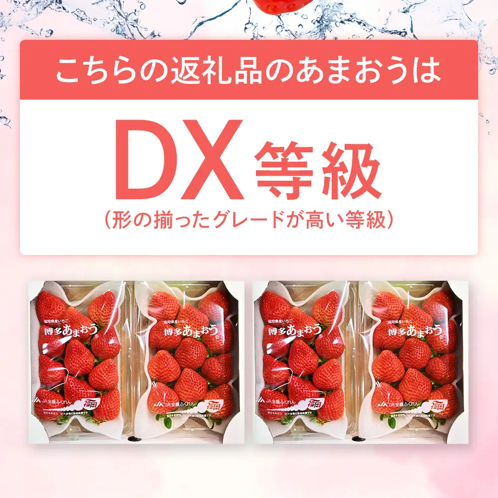 先行予約いちご あまおう 合計約1kg 約250g×4パック DX【2027年2月～2027年3月順次発送】 いちご