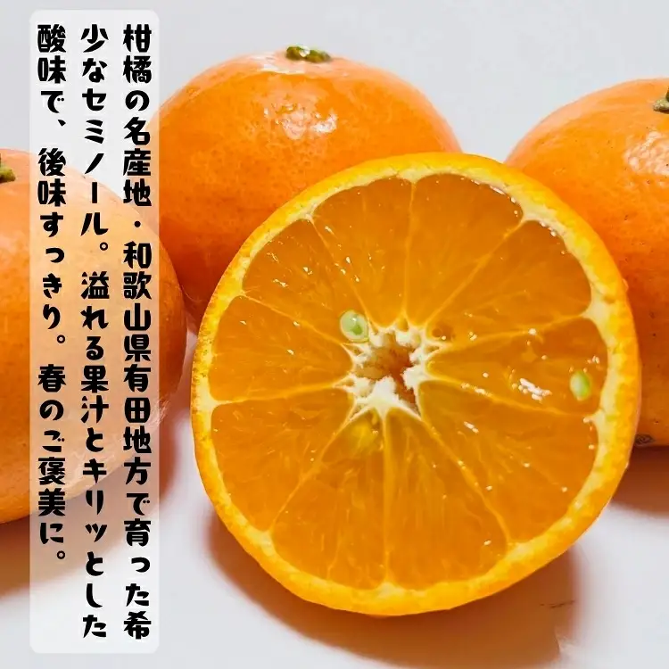 有田育ちの爽快セミノールオレンジ(ご家庭用)　約5kg+200g(補償分)　【2027年4月上旬～5月下旬頃に順次発送予定】【ard025B】