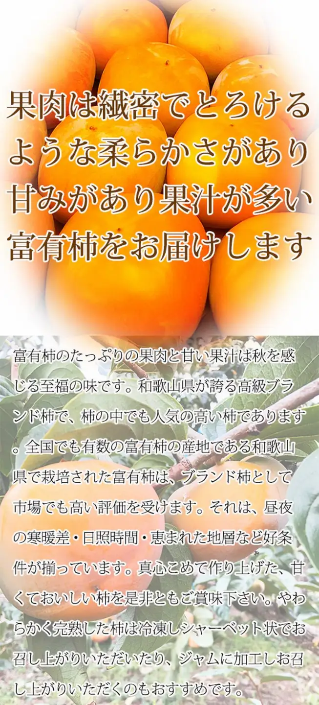 和歌山秋の味覚　富有柿　約7.5kg　※2026年11月上旬頃～2026年12月上旬頃に順次発送予定（お届け日指定不可）【uot702A】